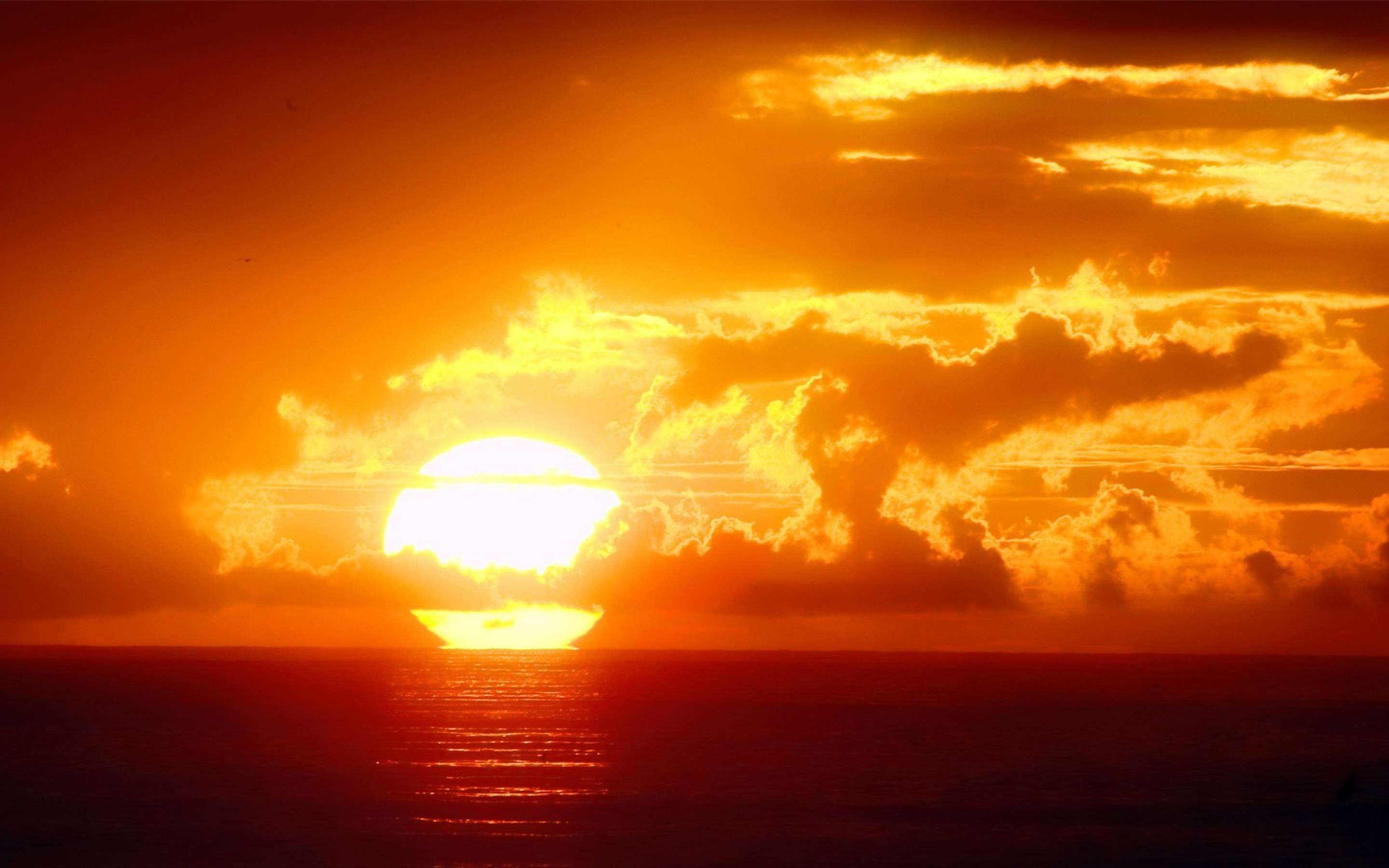 1920 x 1080 HD Wallpapers 2963